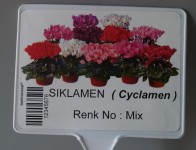 01-95 X 125Resimli2